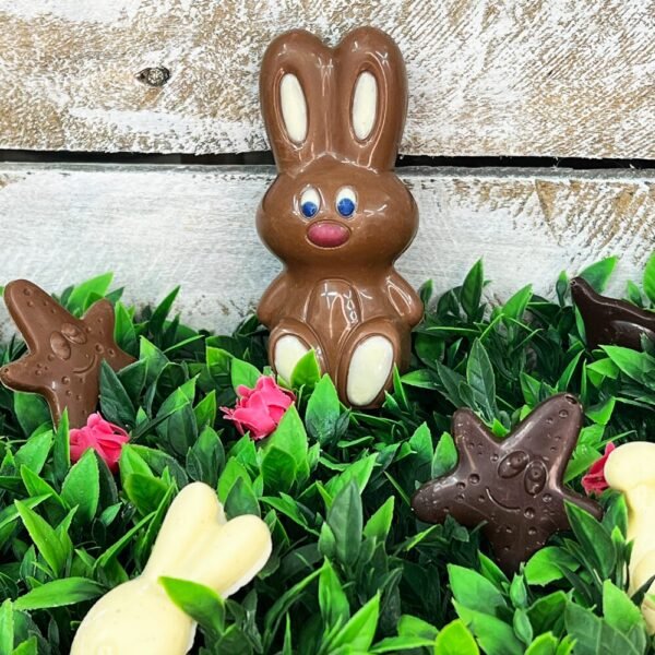 petit lapin chocolat tiffanie