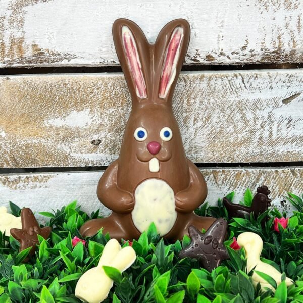 lapin rigolo tiffanie bonbons veynes